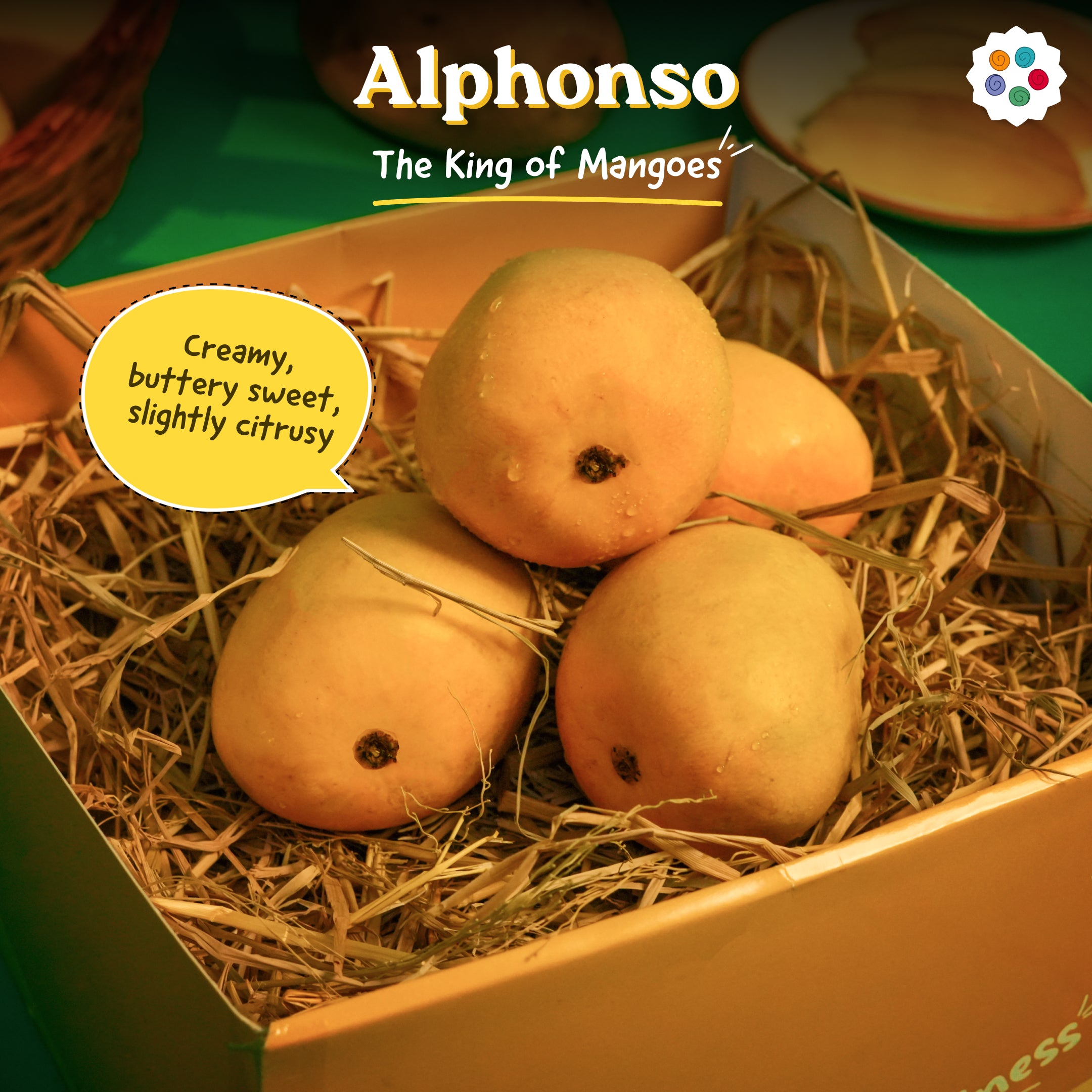 Assorted Mangoes - Any 3 Premium Picks