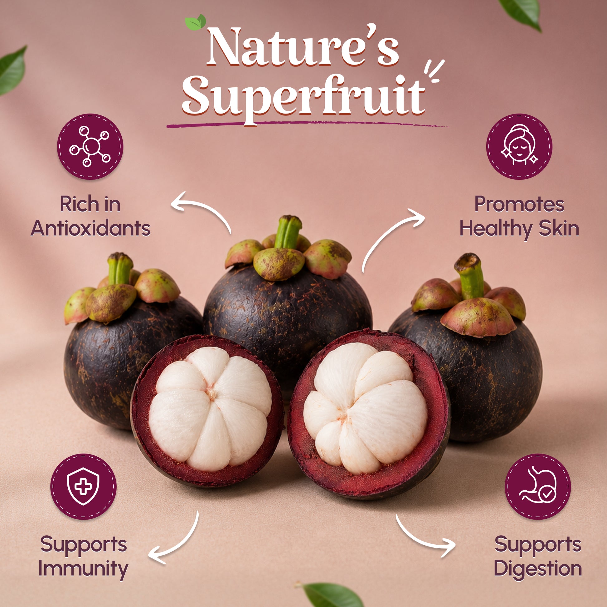 Mangosteen - Queen Of Fruits