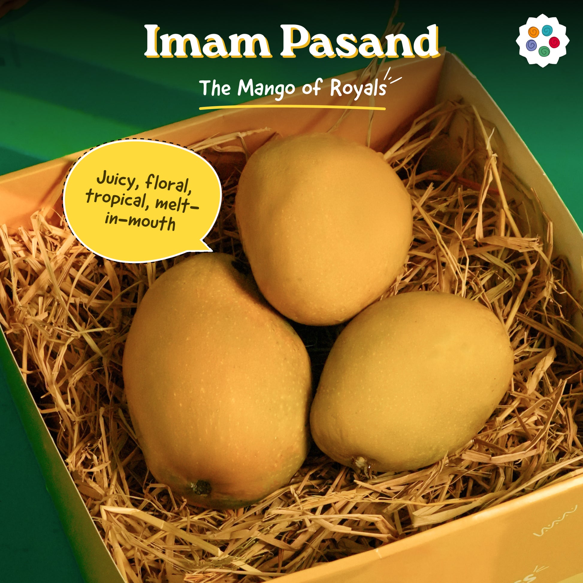 Assorted Mangoes - Any 3 Premium Picks