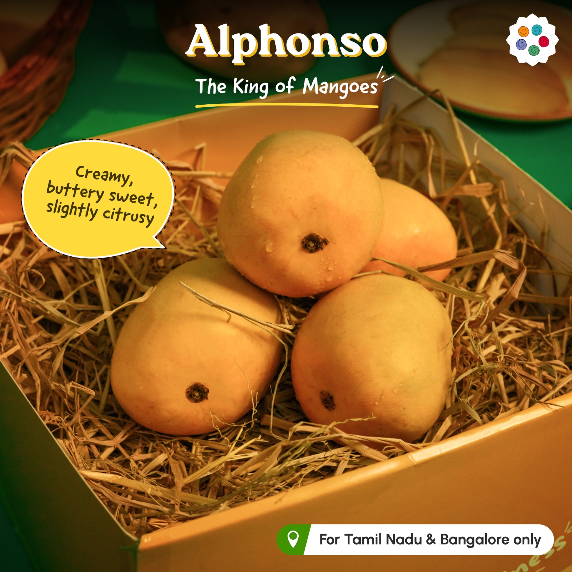 Mango Petti (3 Seasonal Favorites in a box)