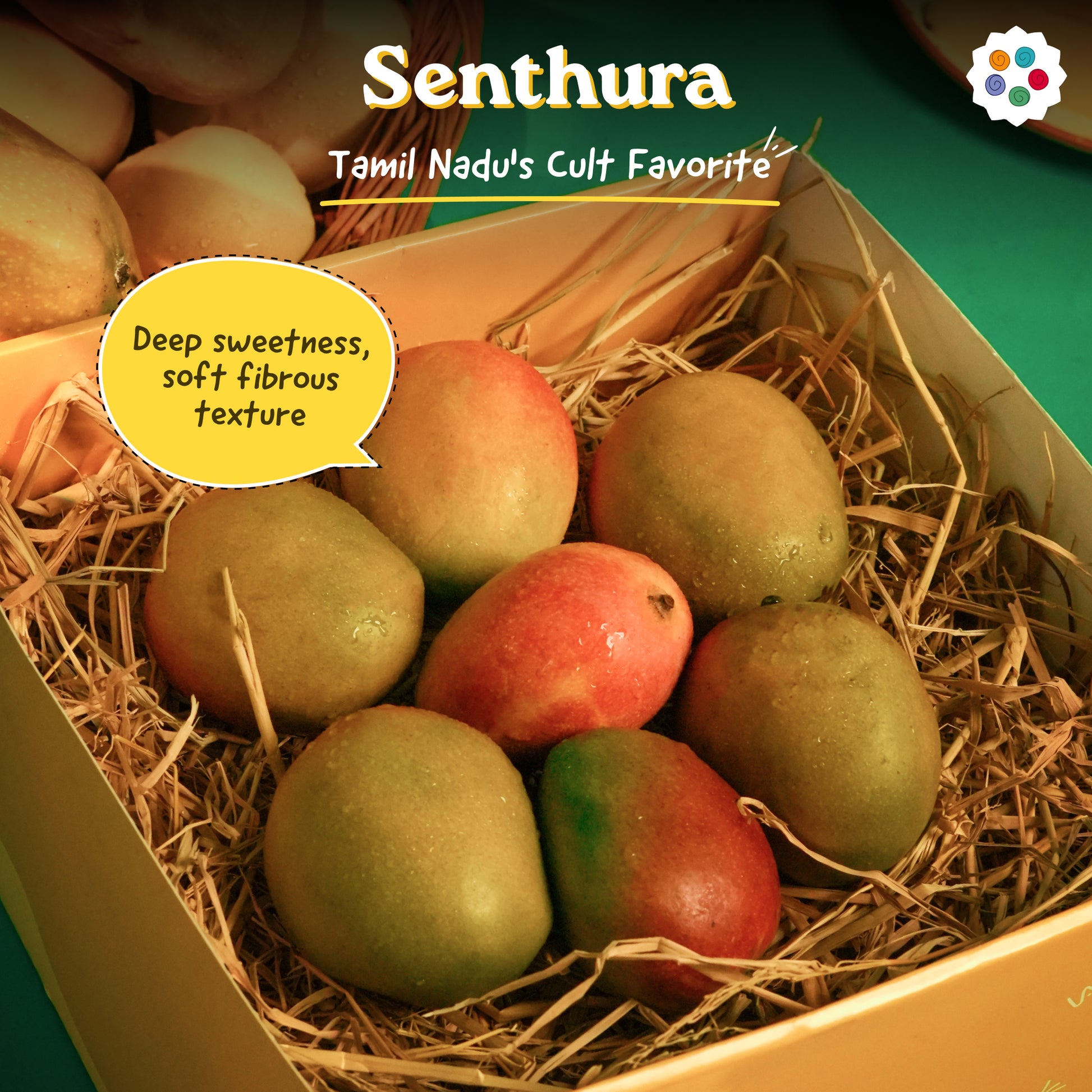 Assorted Mangoes - Any 3 Premium Picks