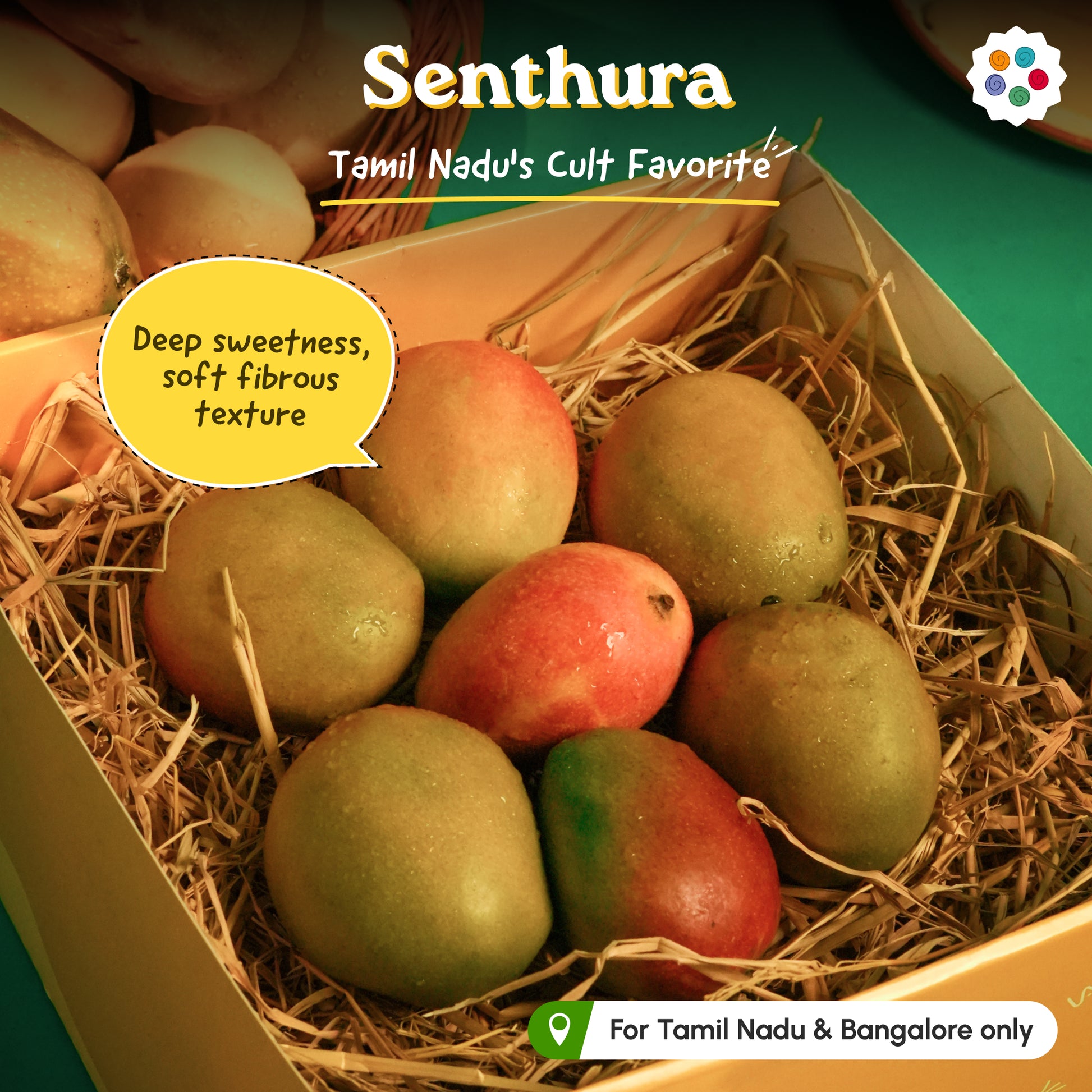 Mango Petti (3 Seasonal Favorites in a box)