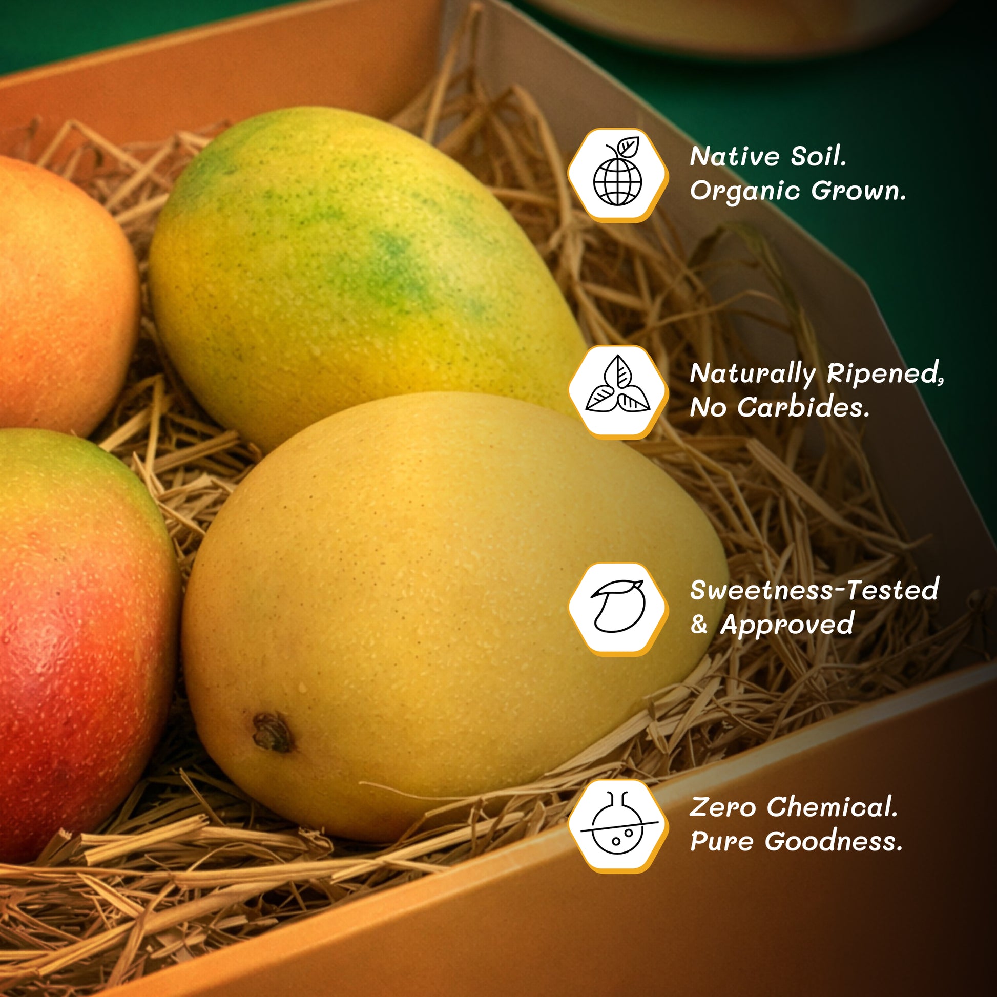 Assorted Mangoes - Any 3 Premium Picks