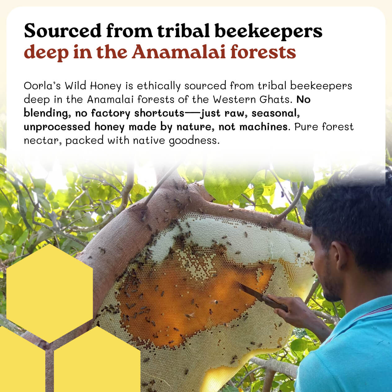 Adukku Wild Honey