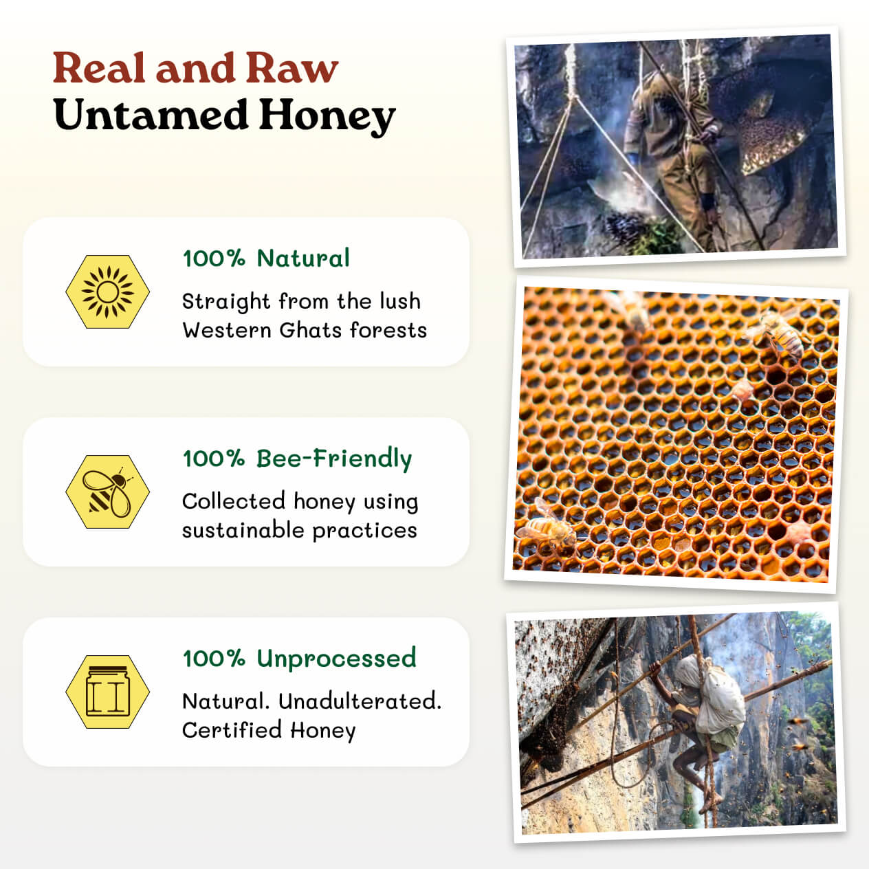 Sholai Wild Honey