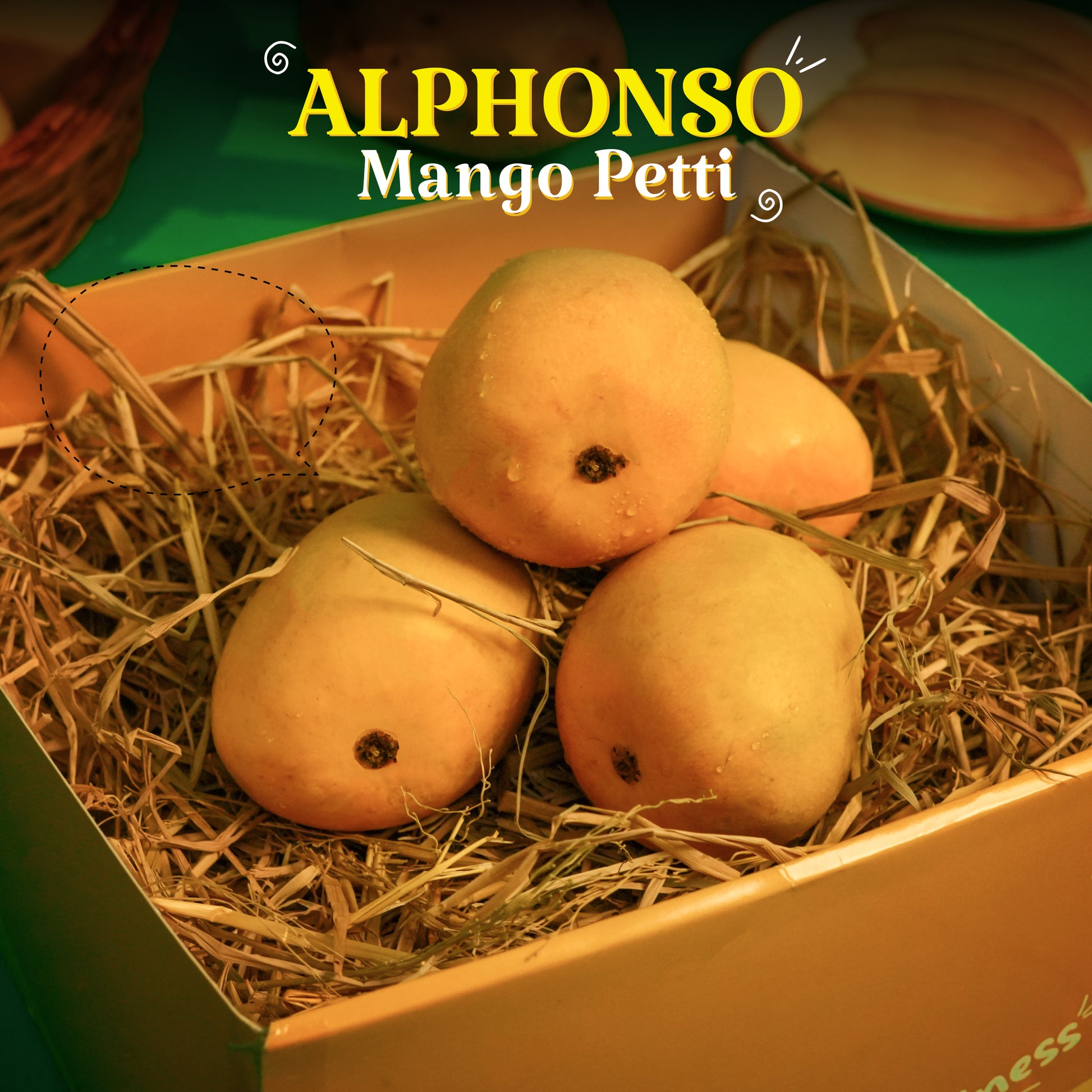 Alphonso Mango