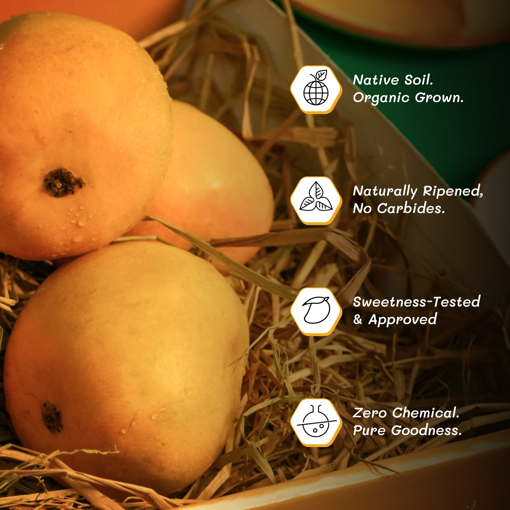 Alphonso Mango