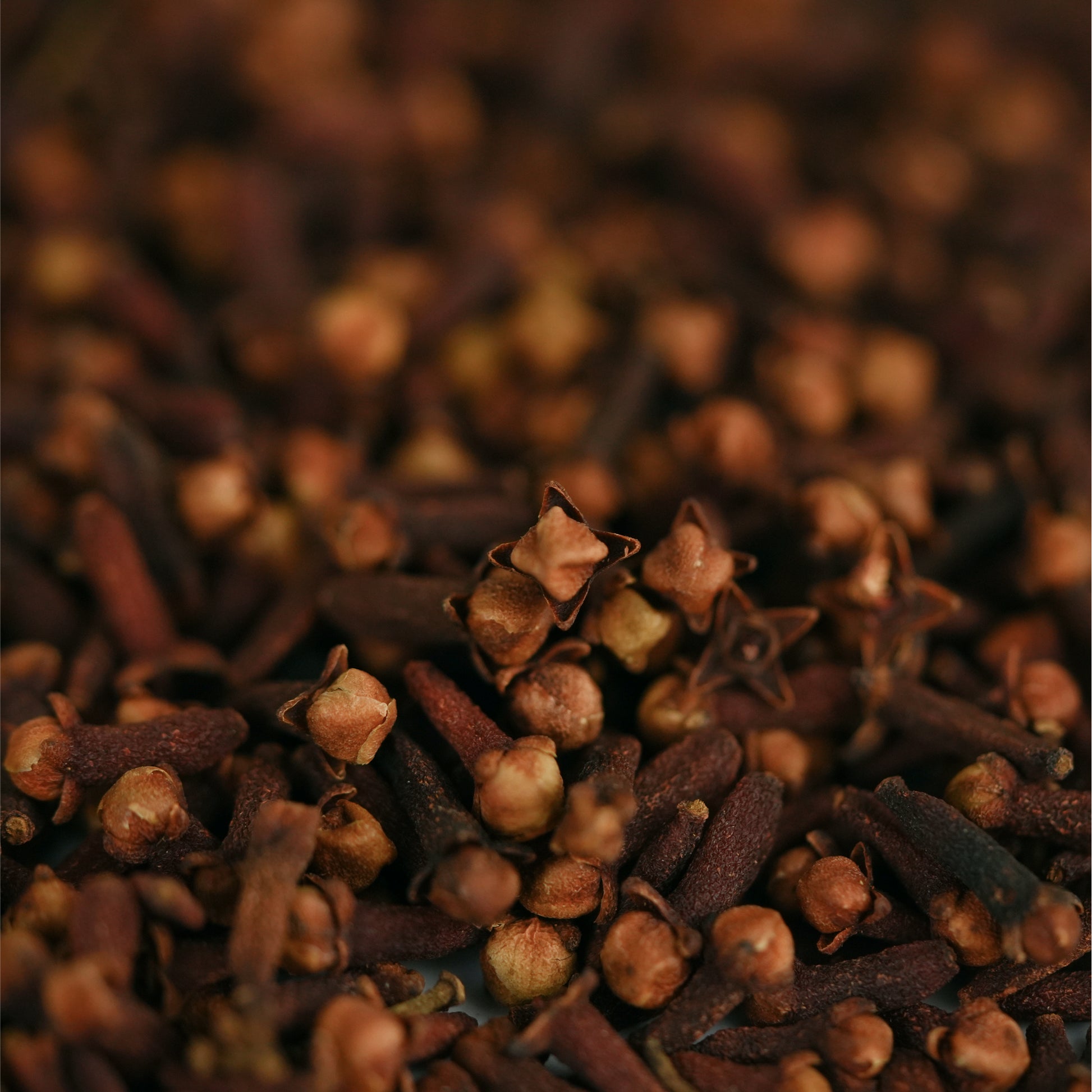 Clove