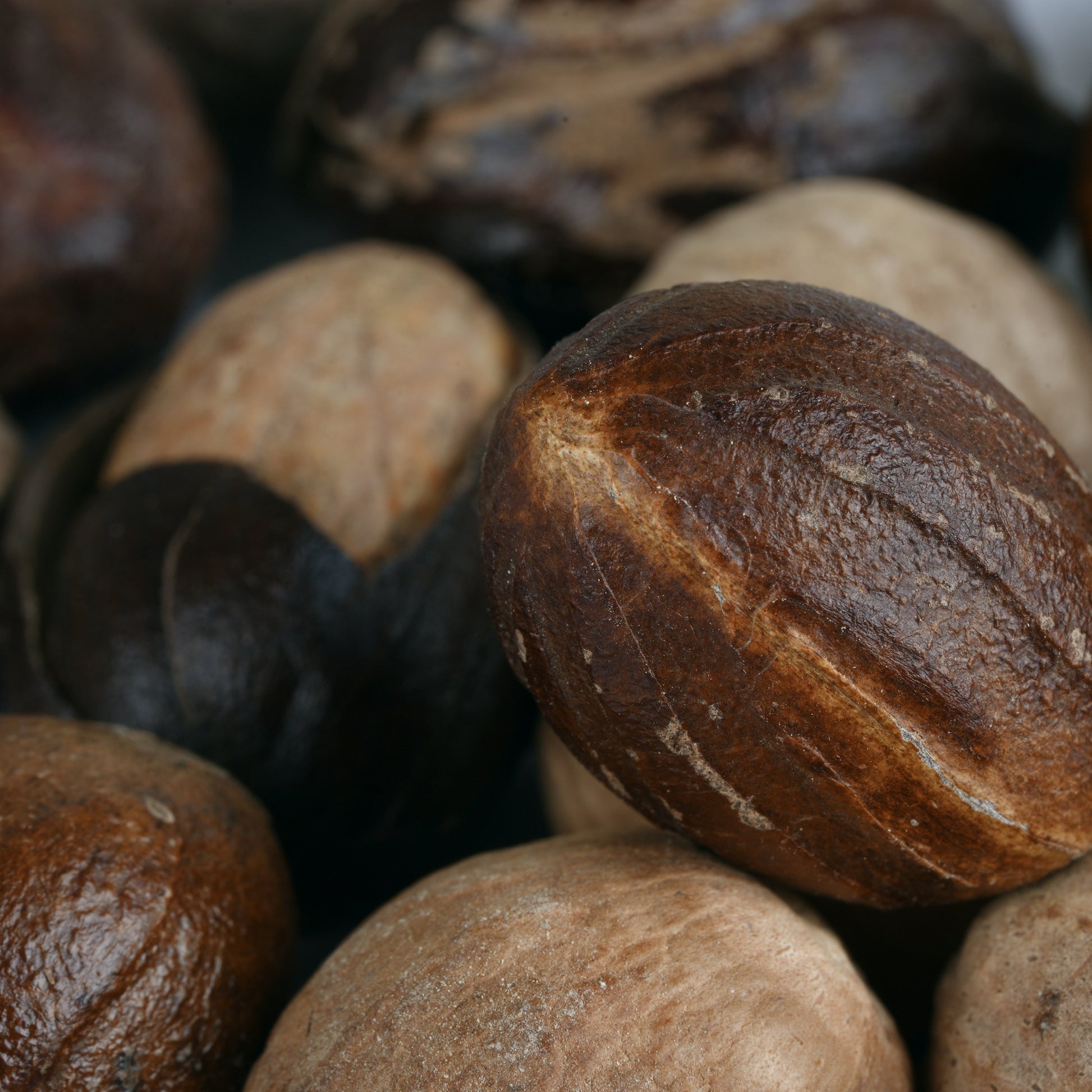 Nutmeg