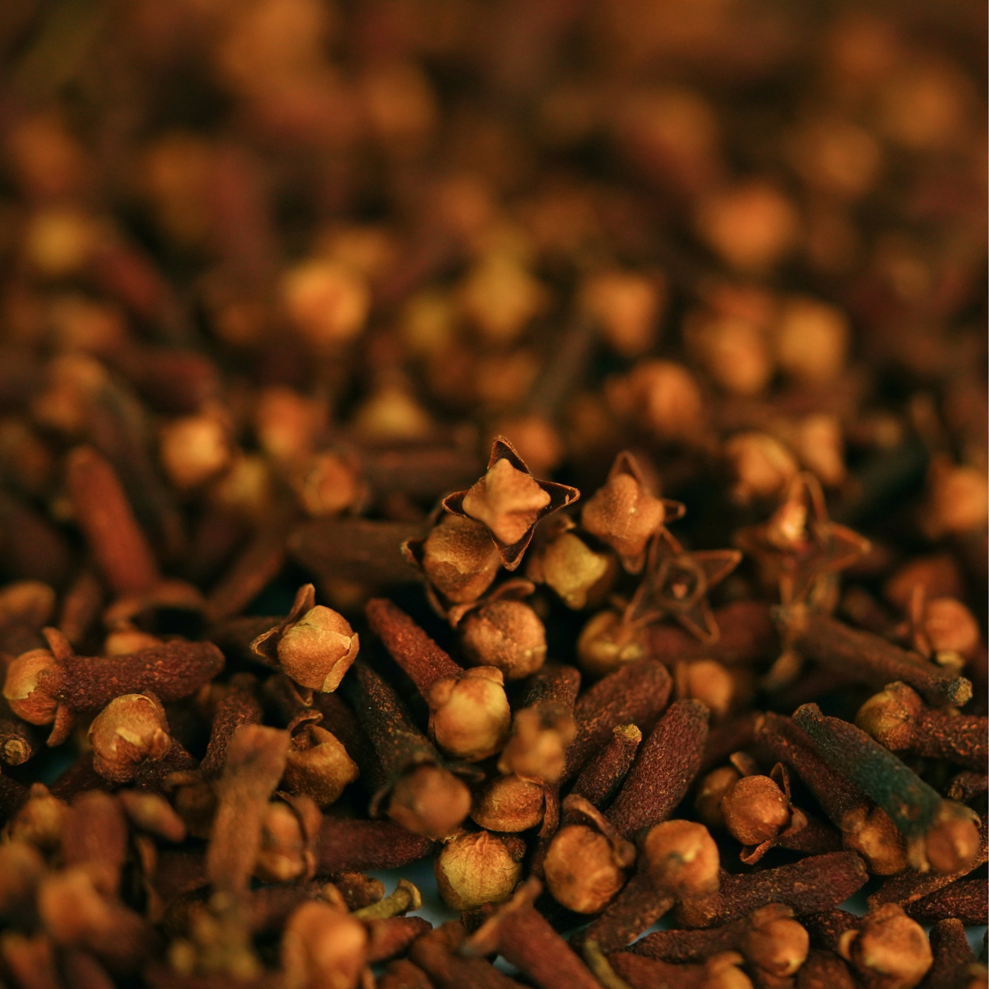 Red Clove