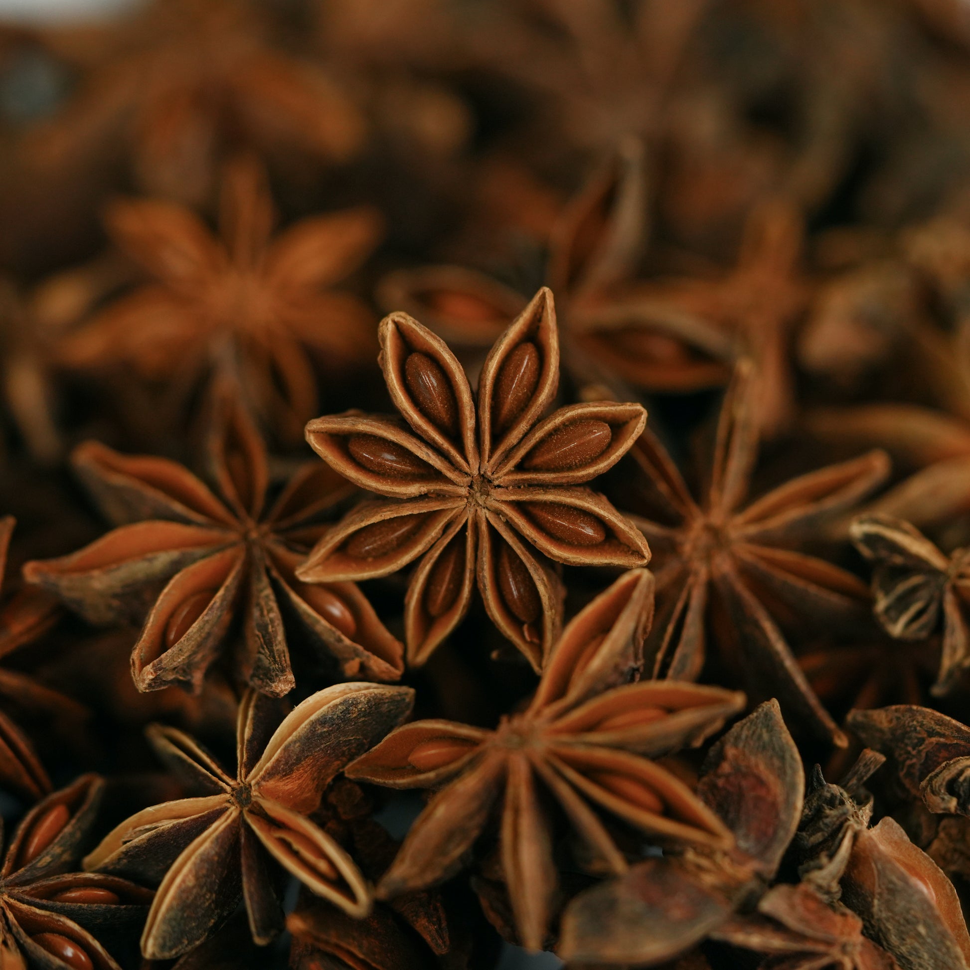 Star Anise