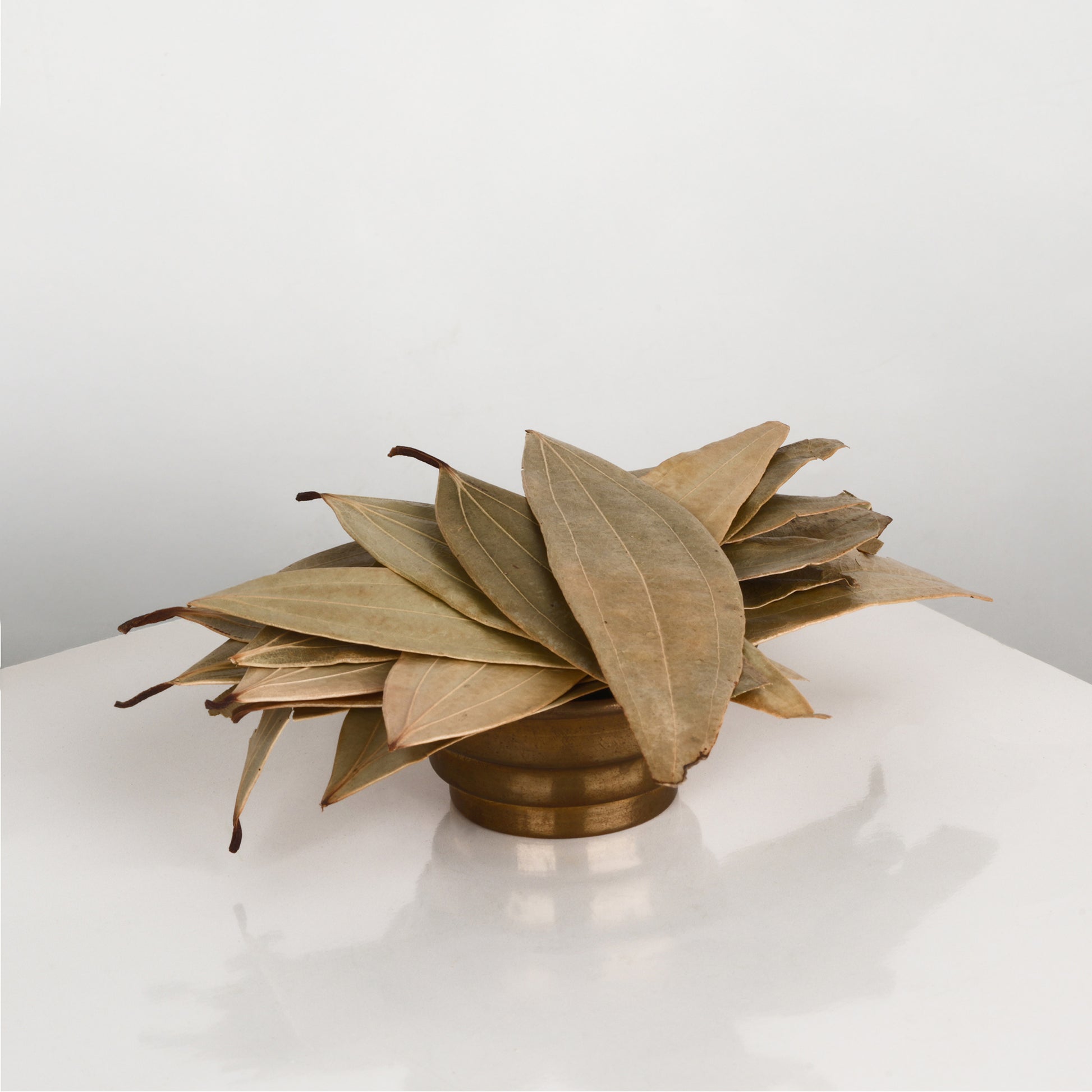 Bay Leaf